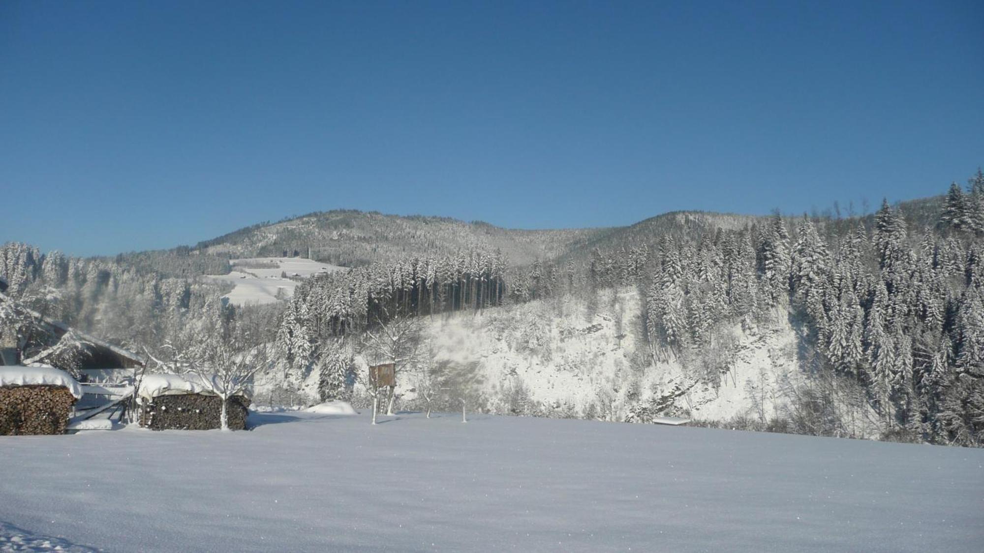 Sackmann Wanderhotel Baiersbronn Exteriér fotografie